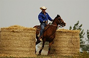 Rodeo_10
