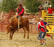 Rodeo_21