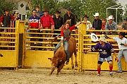 Rodeo_24
