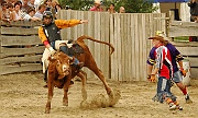 Rodeo_27