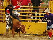 Rodeo_29