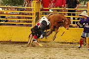 Rodeo_30