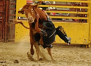 Rodeo_32