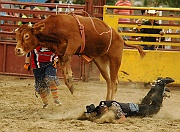 Rodeo_33