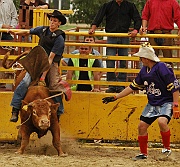 Rodeo_34