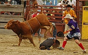 Rodeo_36