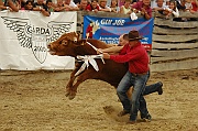 Rodeo_44